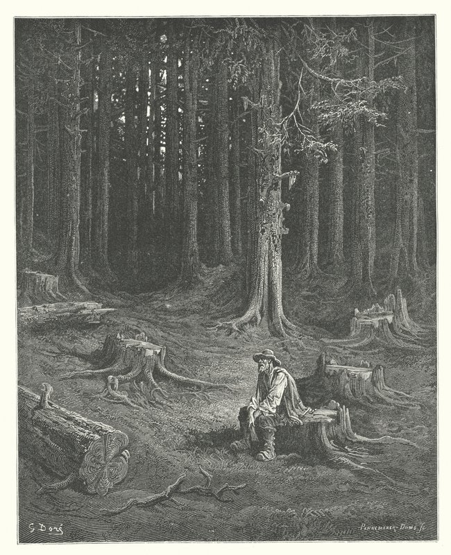 De Fabels van La Fontaine: Het Bos en de Houthakker door Gustave Dore