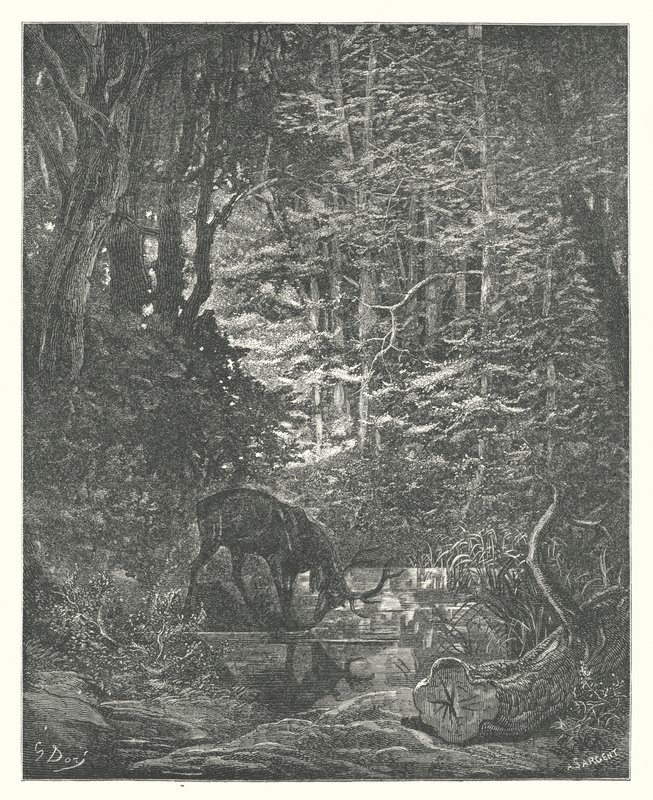 De Fabels van La Fontaine: Het Hert dat zichzelf in de Stroom Bekijkt door Gustave Dore