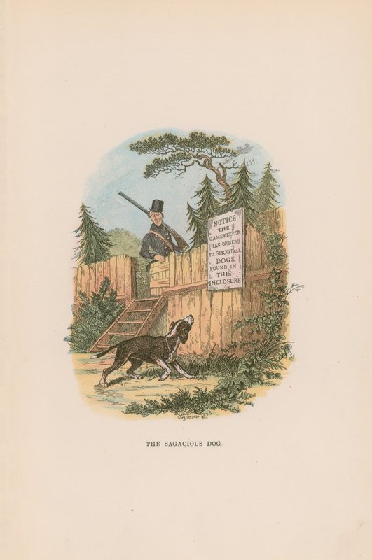 Illustratie voor Pickwick Papers door Hablot Knight Browne