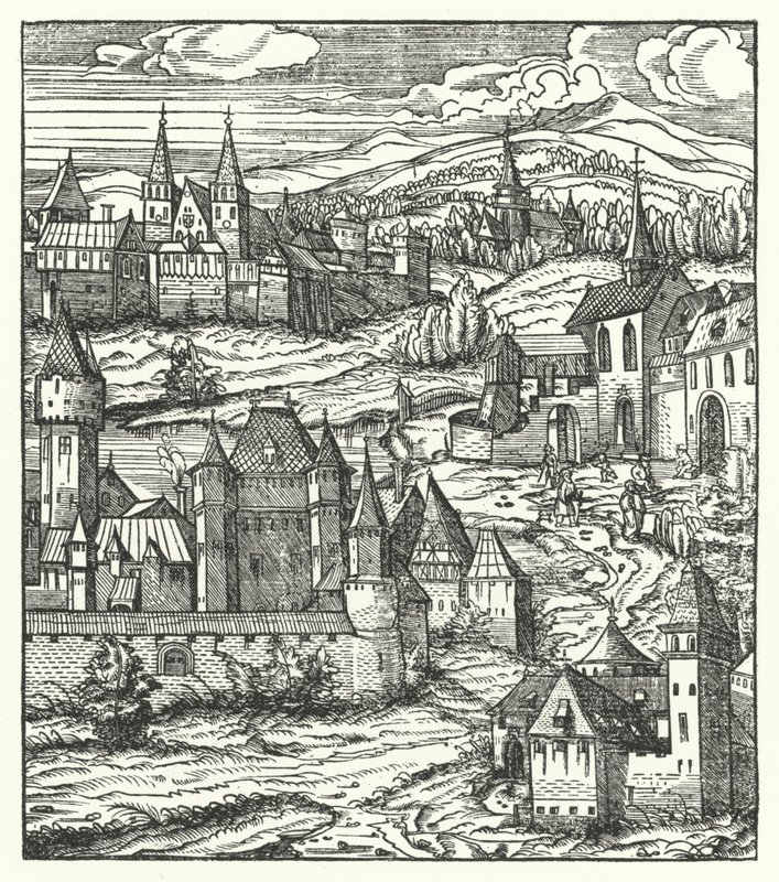 Wiener Neustadt, Oostenrijk, geboorteplaats van Maximiliaan I, Heilige Roomse Keizer door Hans (after) Burgkmair