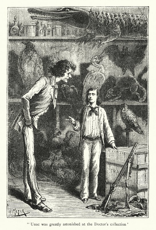 Unac was zeer verbaasd over de collectie van de dokter (gravure) door Hans (after) Meyer