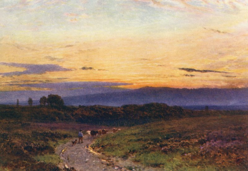 Een Zomeravond, Milford Common door Harold Sutton Palmer
