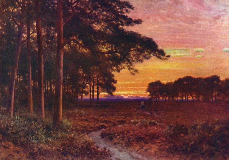 Avond op de Heide, Hindhead door Harold Sutton Palmer