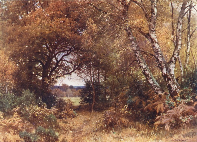 De rand van een bos, Royal Common (kleur litho) door Harold Sutton Palmer