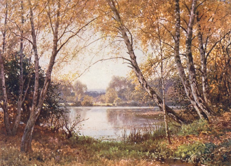 De rand van de vijver, Royal Common door Harold Sutton Palmer