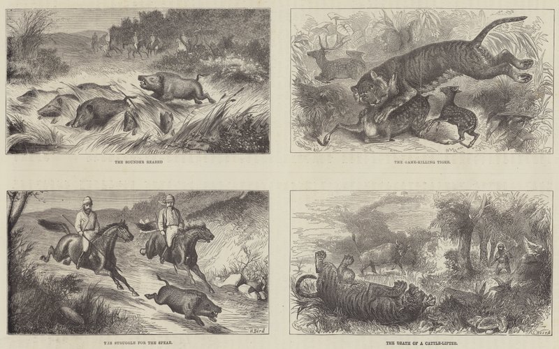 India en de Prins van Wales door Harrington Bird