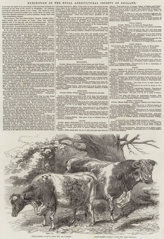 Tentoonstelling van de Koninklijke Landbouwmaatschappij van Engeland door Harrison William Weir