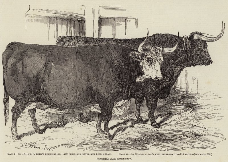 Smithfield Club Vee-Show door Harrison William Weir