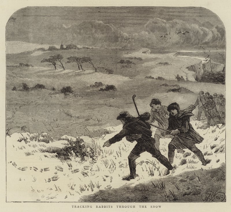 Konijnen Volgen door de Sneeuw door Harrison William Weir