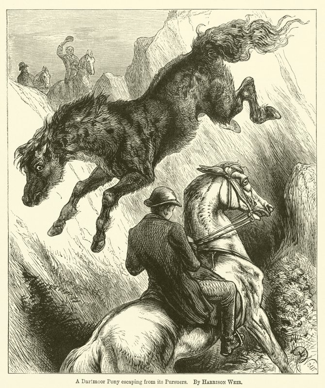 Een Dartmoor pony ontsnapt aan zijn achtervolgers door Harrison William Weir