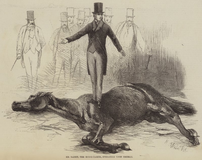De Paardentemmer Mr. Rarey, werkend aan Cruiser door Harrison William Weir