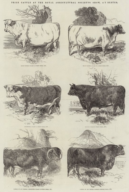 Prijsvee op de Royal Agricultural Society