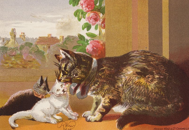 Poes en haar Kittens door Harrison William Weir