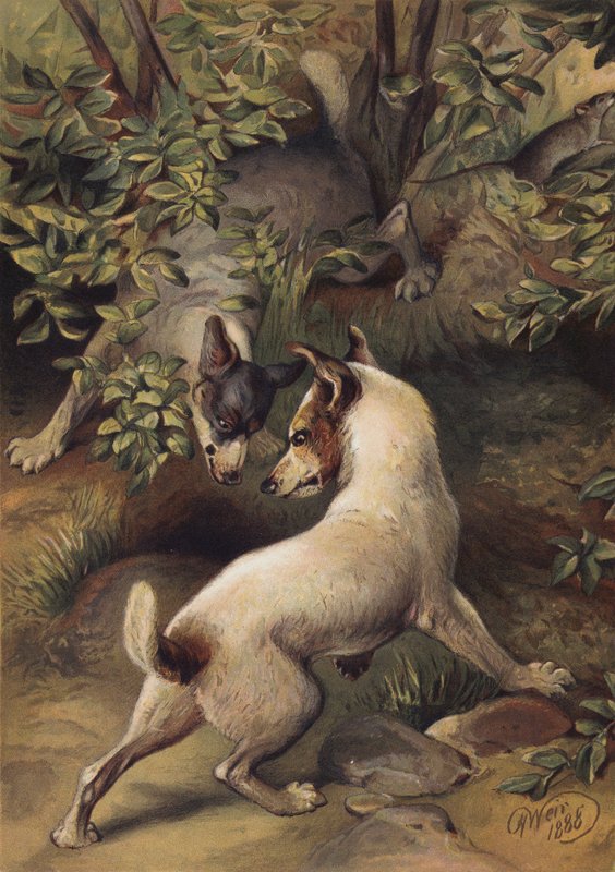 Twee honden proberen een waterplas te bereiken om te drinken door Harrison William Weir