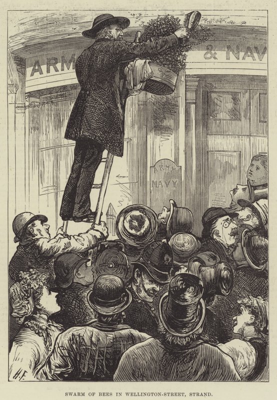 Zwerm Bijen in Wellington-Street, Strand door Harry Furniss