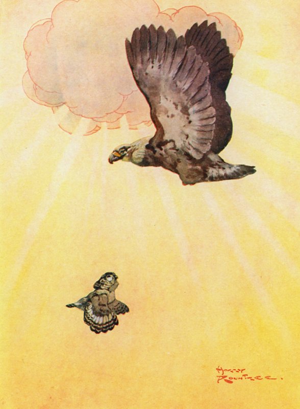 De Uil en de Dochter van de Adelaar door Harry Rountree