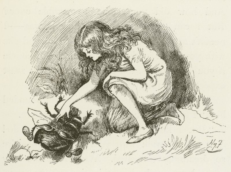 Illustratie voor Sylvie en Bruno door Lewis Carroll door Harry Furniss