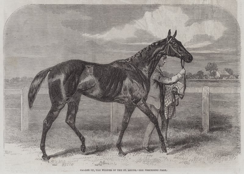 Caller Ou, de Winnaar van de St Leger door Harry Hall