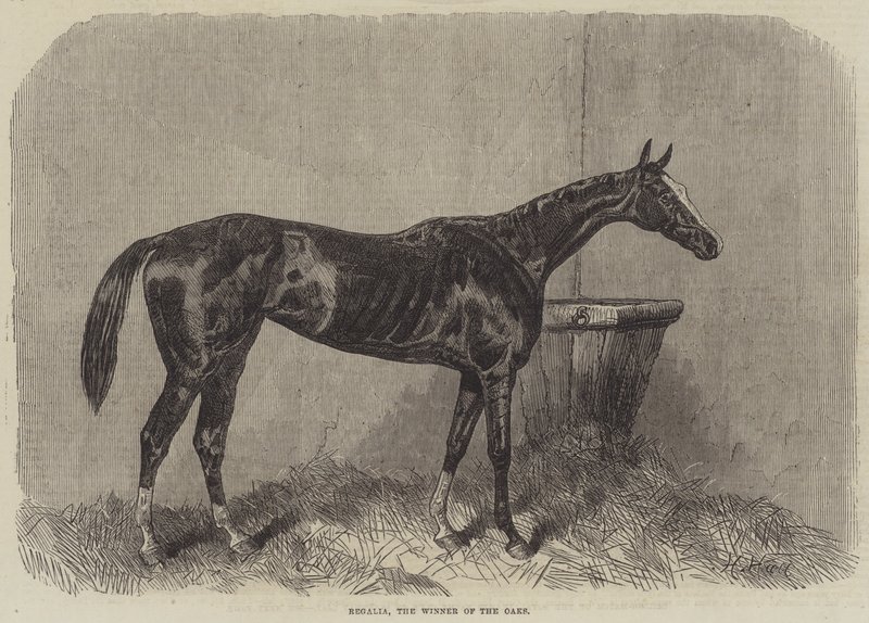 Regalia, de winnaar van de Oaks door Harry Hall