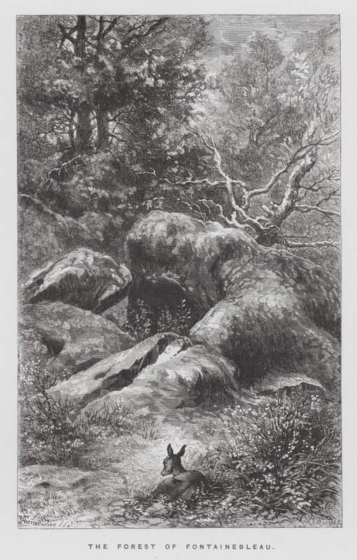 Het insect: Het bos van Fontainebleau door Hector Giacomelli
