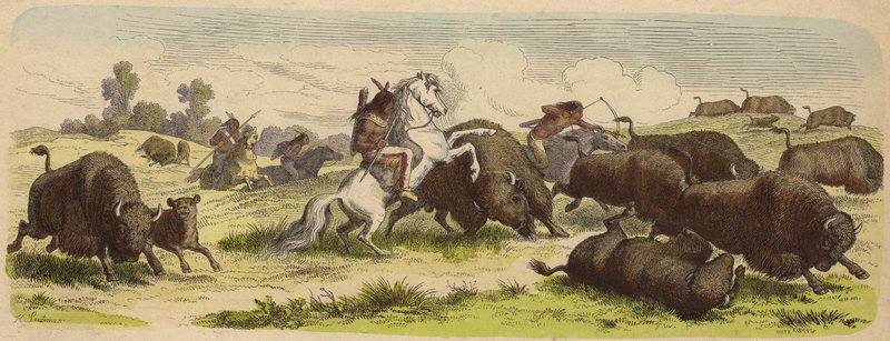 Inheemse Amerikanen te paard jagen op buffels (gekleurde gravure) door Heinrich Leutemann