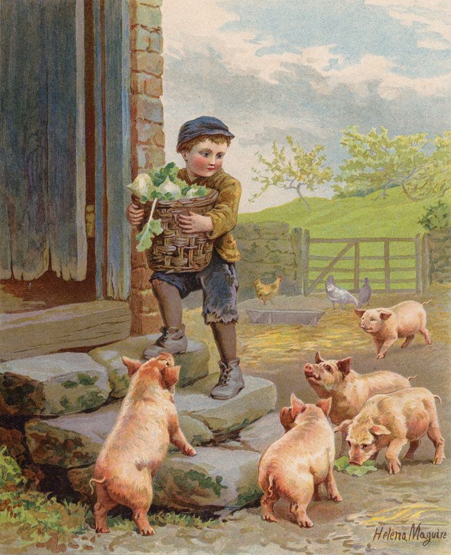 Hongerige varkens kijken naar een jongen die een mand met rapen draagt op een boerderij door Helena J. Maguire