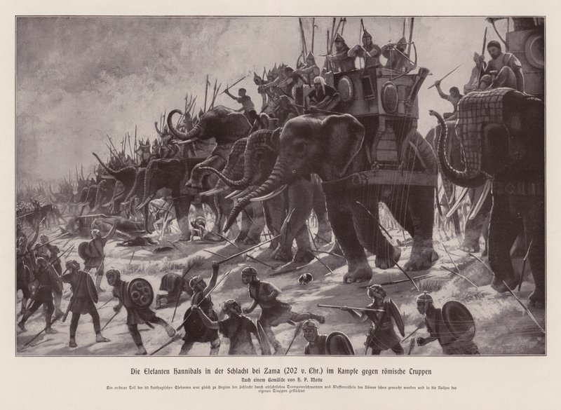 Hannibals olifanten in de Slag bij Zama, 202 v.Chr. door Henri Paul (after) Motte