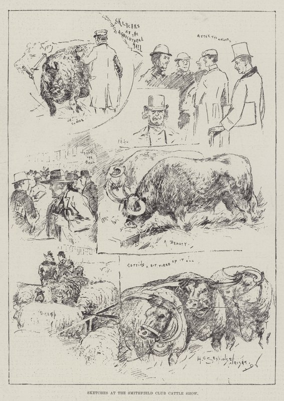 Schetsen op de Smithfield Club Cattle Show door Henry Charles Seppings Wright