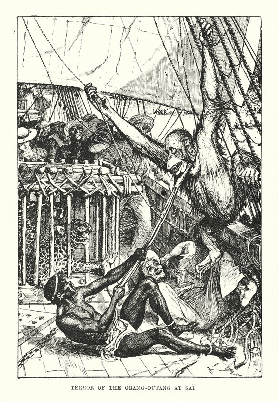 De schrik van de orang-oetang in Sai door Henry Justice Ford