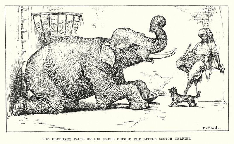 De olifant valt op zijn knieën voor de kleine Schotse terriër door Henry Justice Ford
