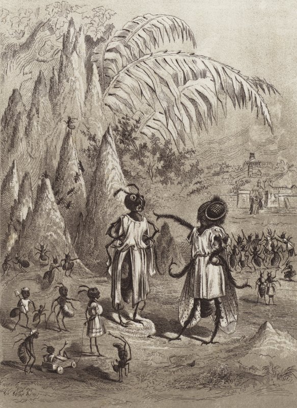 De Fabels van Aesopus: De Mier en de Vlieg door Henry Louis Stephens