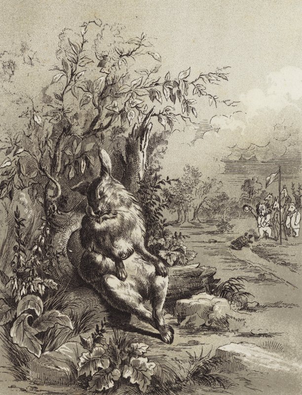 De Fabels van Aesopus: De Haas en de Schildpad door Henry Louis Stephens
