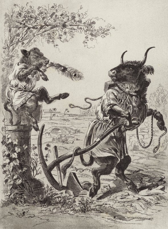 De Fabels van Aesopus: Het Speelse Kalf door Henry Louis Stephens