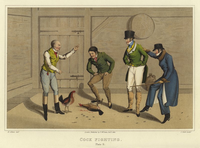 Hanenvechten door Henry Thomas Alken