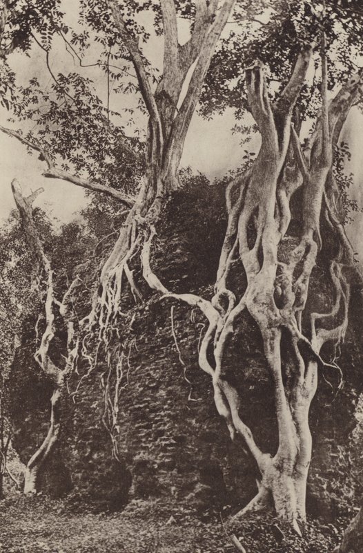 Verwoeste steden van Ceylon: Kotuwa door Henry W. Cave
