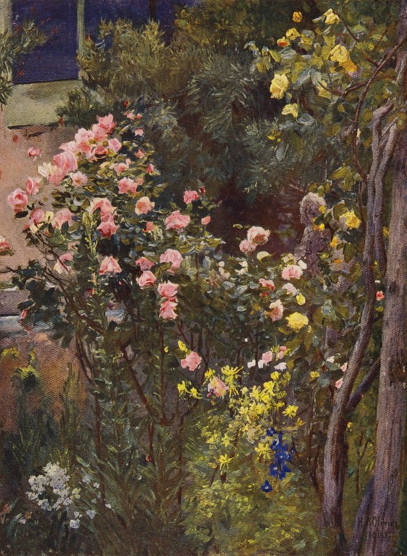 In een rozentuin, Catherine Mermet en Marechal Niel thuis door Herbert Arnould Olivier