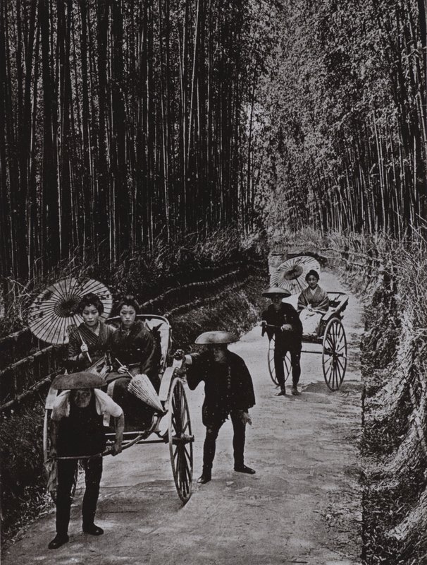 Een bamboe laan in Kyoto (zw/w foto) door Herbert Ponting