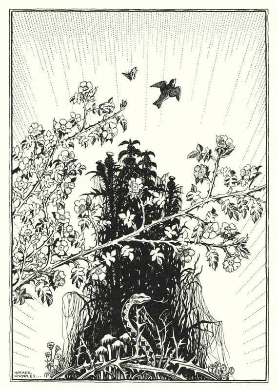 Illustratie voor De Bergrede (gravure) door Horace J. Knowles