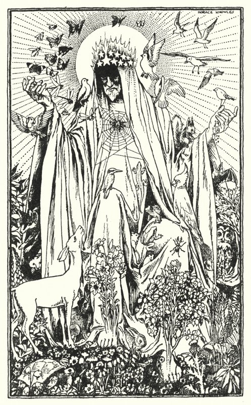 Roodborst (litho) door Horace J. Knowles