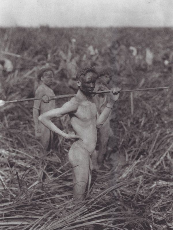 Afrika: Nuer krijgers in moeras door Hugo Adolf Bernatzik
