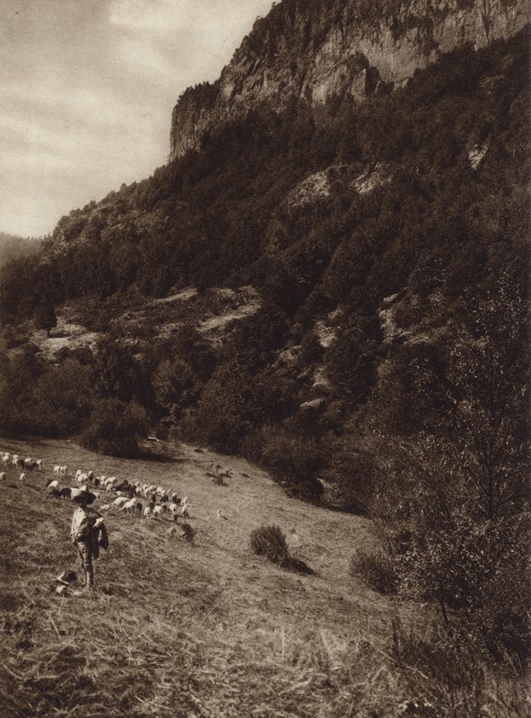 Mexico: La Canada, Contreras, D F (z/w foto) door Hugo Brehme