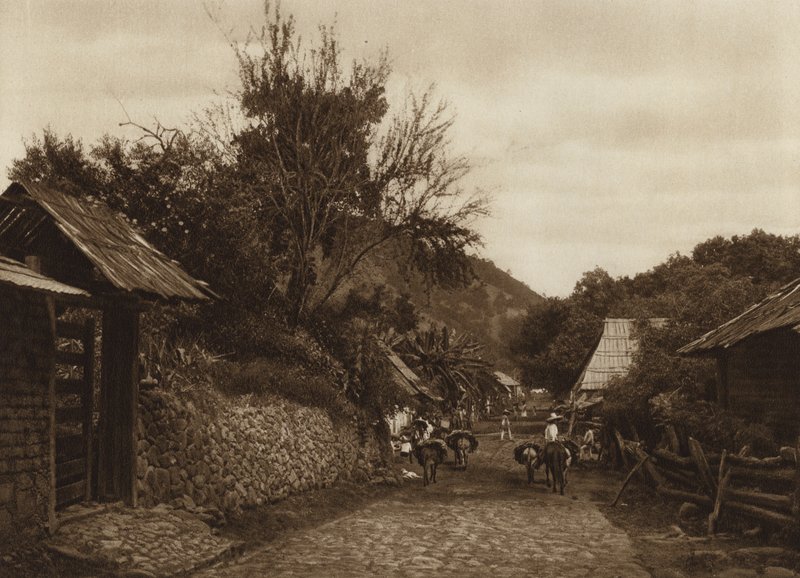 Mexico: De omgeving van Uruapam (z/w foto) door Hugo Brehme
