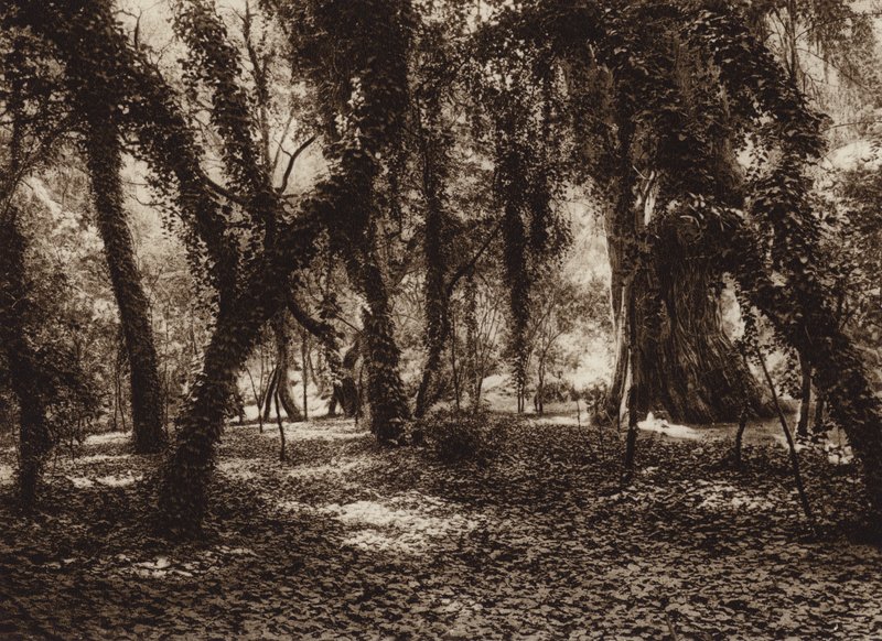 Mexico: Idyllische plek in het park van Chapultepec (z/w foto) door Hugo Brehme