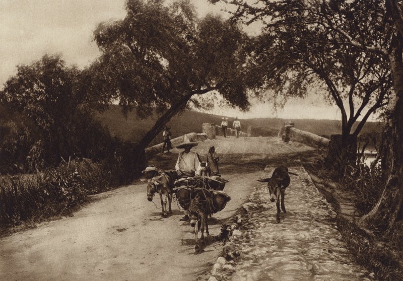 Mexico: Een weg in de bergen van Mexico (z/w foto) door Hugo Brehme