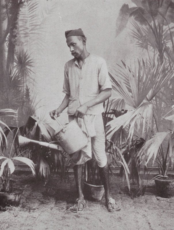 Bombay / Mumbai: Tuinman (z/w foto) door Indian photographer