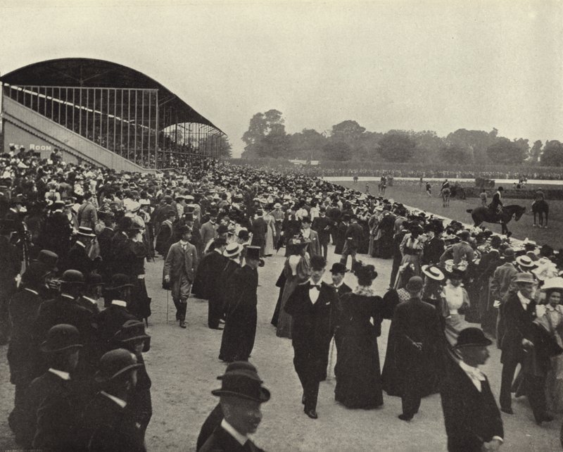 Paardenshow, Ball