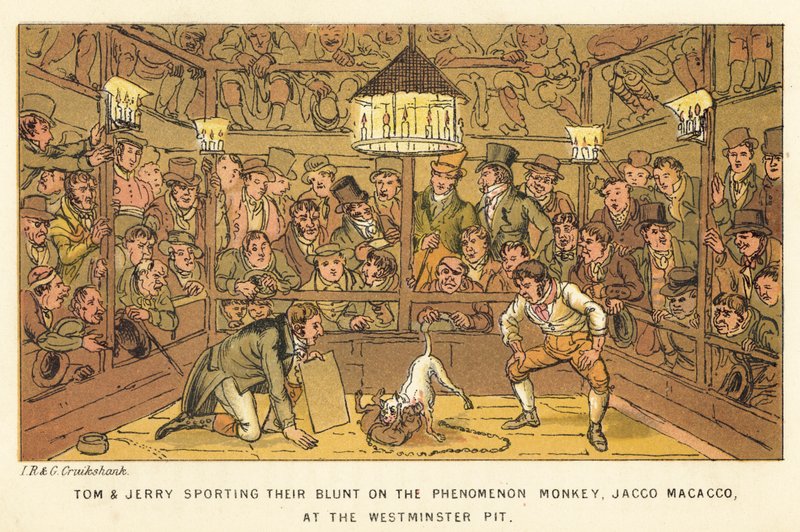 Tom en Jerry besteden hun geld aan de Fenomeen Aap, Jacco Macacco, in de Westminster Pit door Isaac, Robert and George Cruikshank