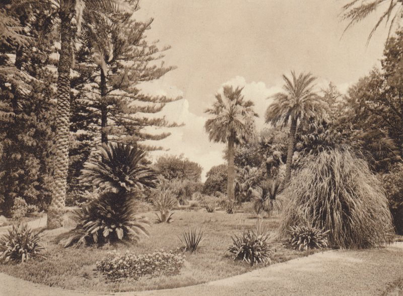 Sicilië / Sicilië: Villa Tasca, Palermo (z/w foto) door Italian Photographer