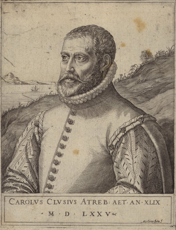 Portret van Carolus Clusius door Italian School