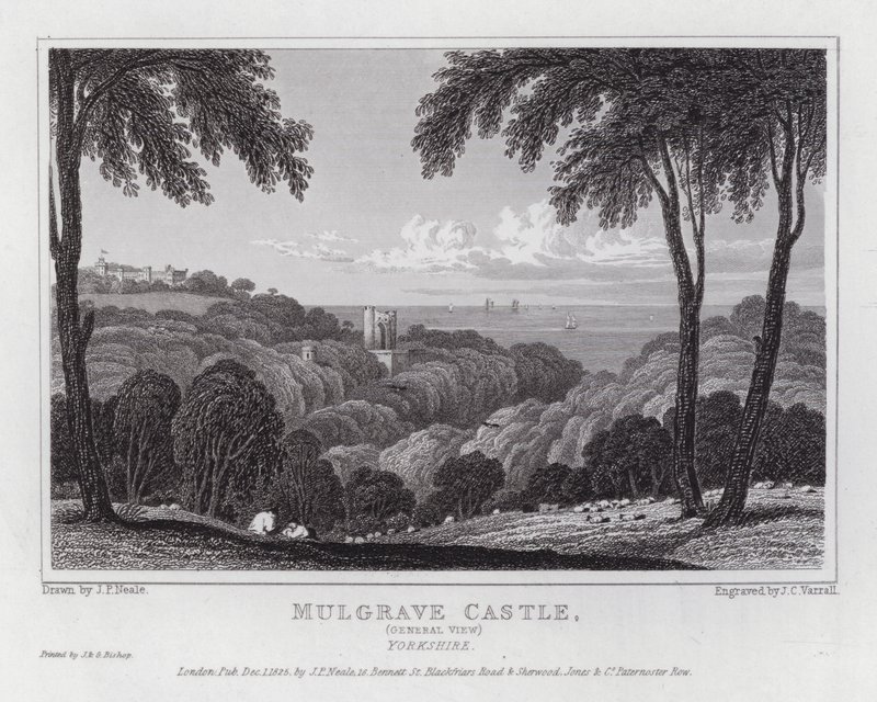 Mulgrave Castle, algemeen uitzicht, Yorkshire door John Preston Neale